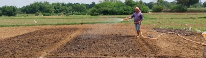 मानसून की बेरुखी ने बढ़ायी किसानों की चिंता, लोहरदगा में बारिश के लिए कर रहे प्रार्थना