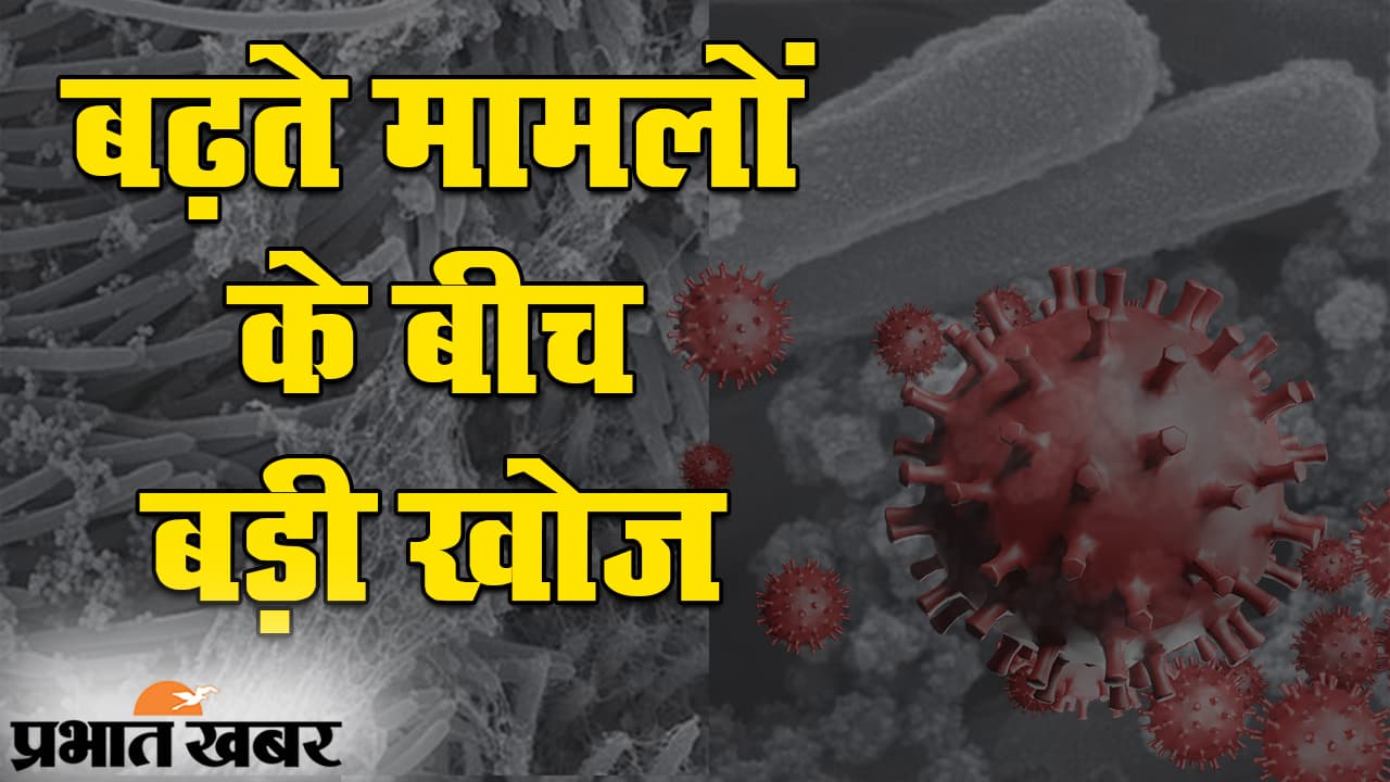 भारत में 48 लाख के पार मामले, कोरोना के मानव कोशिकाओं पर असर को जानने में मिली सफलता