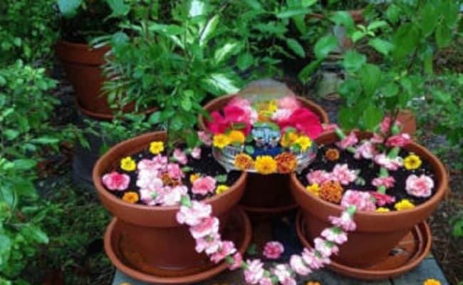 तस्वीरों में तेजप्रताप: गाड़ी की छत तो कभी साइकिल, ‘लालू अंदाज’ में मांग रहे हैं वोट