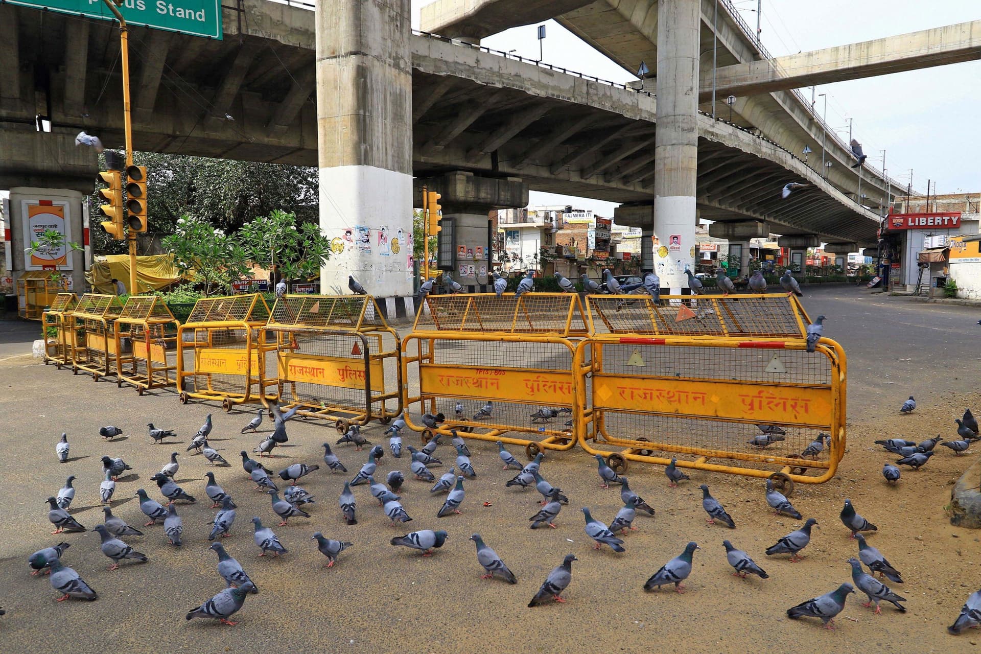 Covid19 Outbreak: जयपुर के सबसे पॉश इलाके मानसरोवर में भी कर्फ्यू, भाजपा-कांग्रेस के बीच आरोप-प्रत्यारोप शुरू