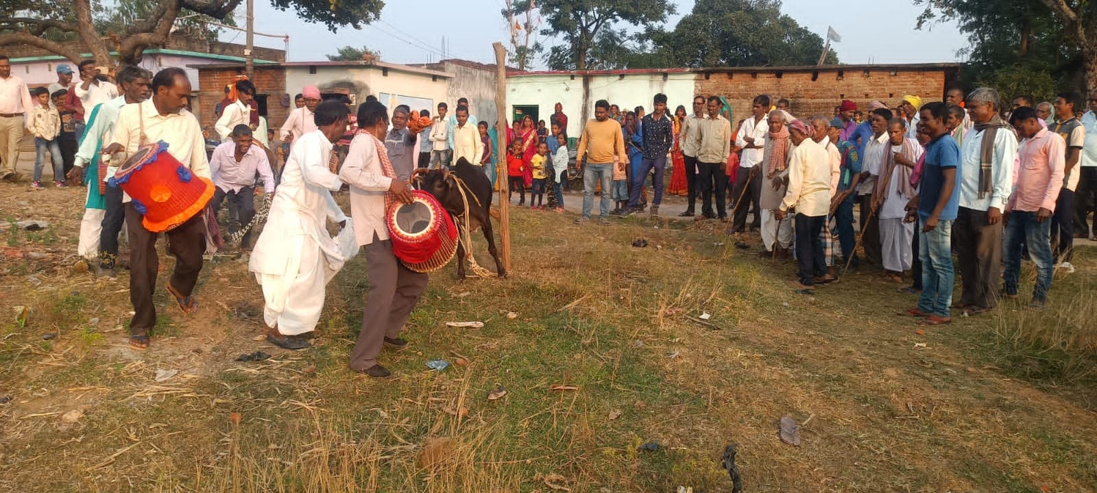 गिरिडीह : हर्षोल्लास के साथ मनी गोवर्धन पूजा, बरदखूंंटा मेले का आयोजन