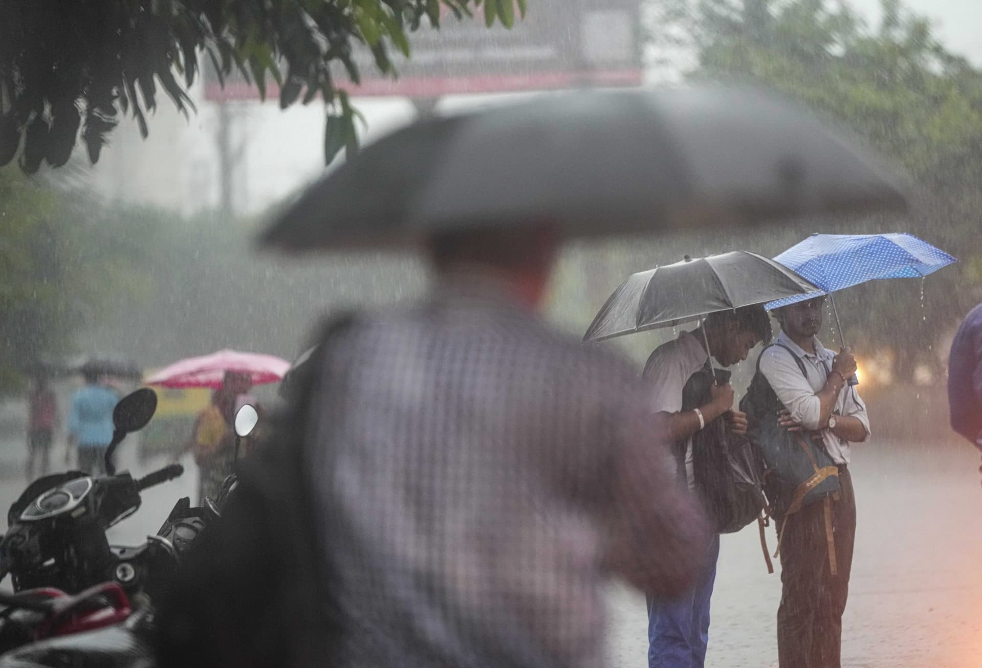 Weather Forecast: पश्चिमी विक्षोभ के कारण बदलेगा मौसम, यहां होगी बारिश, बर्फबारी के बाद पड़ेगी ठंड