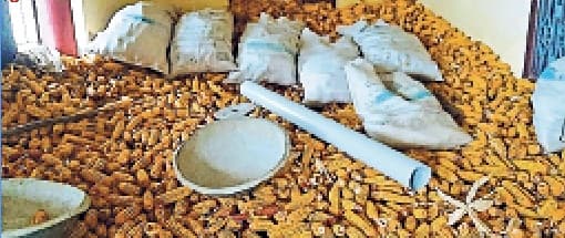 कर्ज लेकर की खेती, अब लागत पर भी आफत, बेटी की शादी के सपने रह गये अधूरे