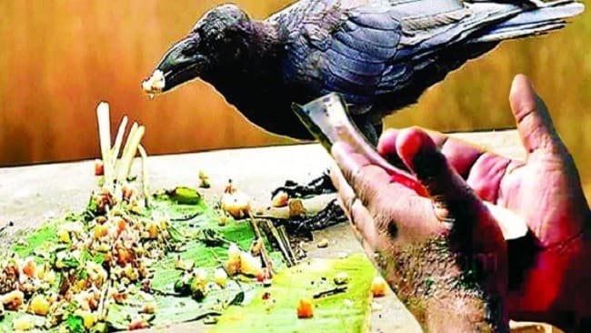 Pitru Paksha 2023: पितृ दोष से मुक्ति का ‘महापर्व’ इस दिन से शुरू, जानें ज्योतिषाचार्य से कैसे पितर होंगे खुश