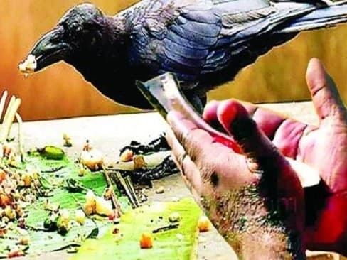 Pitru Paksha 2023: पितृ पक्ष इस दिन से शुरू, भूल कर भी न करें यह काम, जानें श्राद्ध की सभी तिथियां