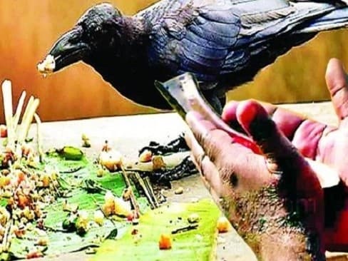 Pitru Paksha 2023: इस दिन से शुरू होने जा रहा पितृ पक्ष, पितरों का आशीर्वाद पानें के लिए जानें जरूरी बातें