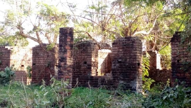 कॉलेज की जमीन पर असमाजिक तत्व कर रहे थे अवैध कब्जा, विरोध करने पर प्राचार्य पर किया हमला