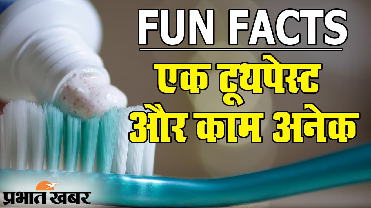 Toothpaste Fun Facts: आपके दांतों के अलावा इन चीजों को भी चमकाता है टूथपेस्ट, मजेदार है ना...