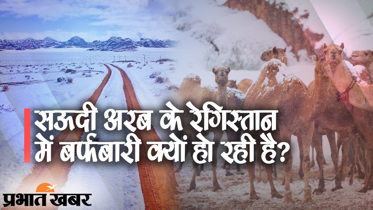 सऊदी अरब के रेगिस्तान में बर्फबारी, रेत की जगह बर्फ की चादर, सोशल मीडिया पर वीडियो वायरल