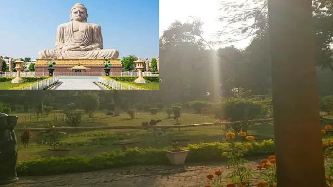 बोधगया के जेपी उद्यान में तैयार होगा तितली प्रजनन व संरक्षण केंद्र, बनेगा 250 फुट का गार्डेन बेड