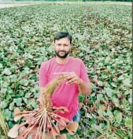 बेकार पड़ी जमीन पर की मखाने की खेती,  1.80 लाख की लागत लगा कमाया 4.70 लाख