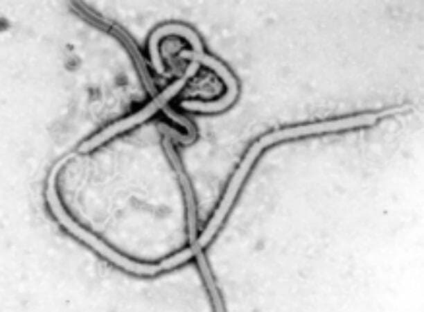 इबोला वायरस के साथ पांचवा अमेरिकी स्‍वदेश लौटा