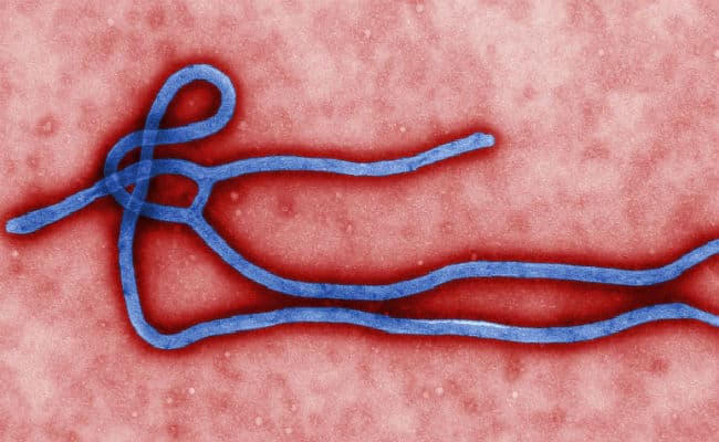 डब्ल्यूएचओ ने चेताया, हर सातवें दिन Ebola के 10,000 नये मामले आयेंगे सामने