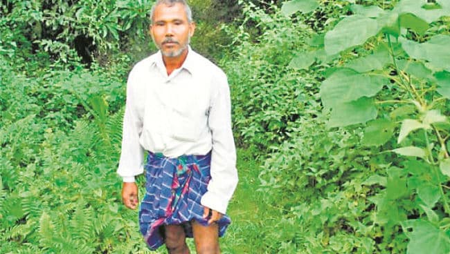 वीरान भूमि को बना डाला हरा-भरा जंगल