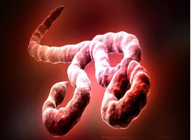 रोकथाम के बावजूद तेजी से बढ़ रहा है इबोला