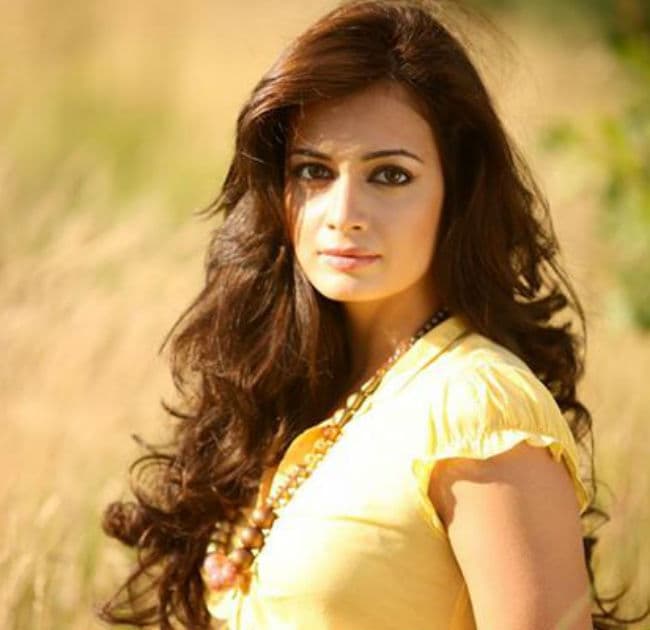 दीया मिर्जा ने शादी की खुशी में मतदान नहीं किया