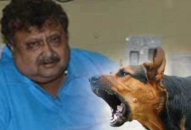 मुख्य सचिव के कुत्ते ने सचिव को काटा