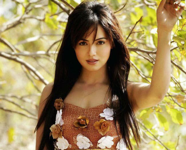 छेडछाड और धमकाने मामले में सना खान को मिली जमानत