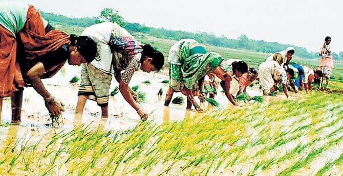 तरक्की की नयी कहानी लिख सकता है झारखंड