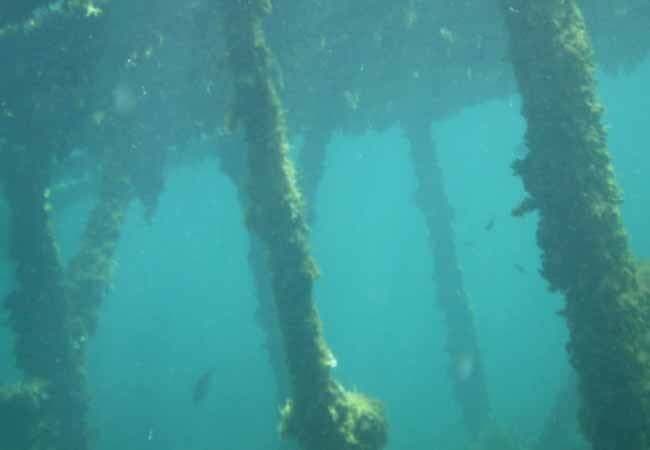 120 साल पहले डूबा जहाज मिला