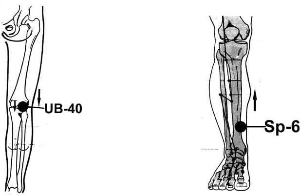 जीवन को शक्ति देनेवाले बिंदु