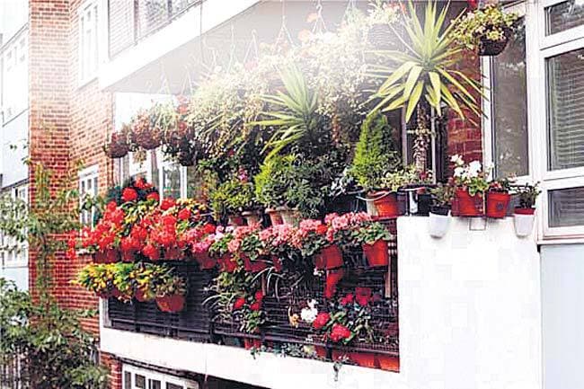 सजाएं बालकनी निखारें घर