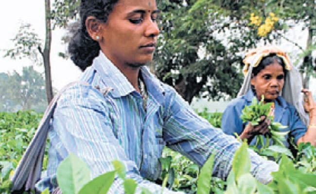 भूख से चार चाय बागान श्रमिकों की मौत