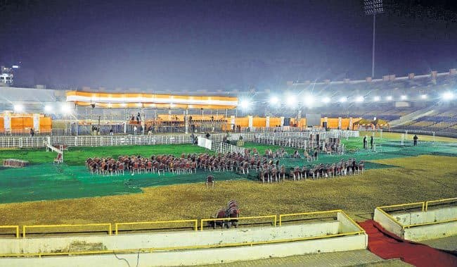 झारखंड में आज से रघुवर दास की सरकार, सीपी सिंह, नीलकंठ, डॉ लुईस व चंद्रप्रकाश होंगे कैबिनेट में शामिल