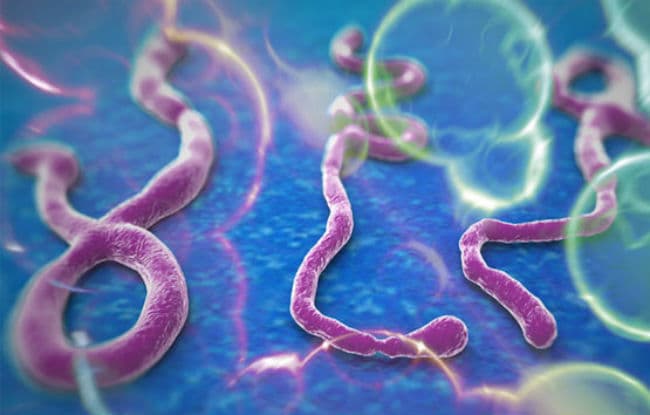 इलाज के लिए देश लौटी इबोला हेल्‍थकेयर की स्‍कॉटिश नर्स