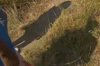 नाबालिगों के प्रश्न पर निर्णय का वक्त