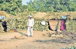 गढ़वा : 200 एकड़ जंगल काट डाले, पट्टा पाने के लिए बना ली झोपड़ियां