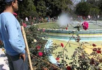जिज्ञासा या सुकून के पलों की तलाश?