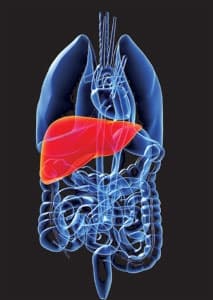 बिहार में आधुनिक तकनीक से लिवर कैंसर मरीज की बचाई गई जान, 55% लिवर काट 10 घंटे में किया 
गया सफल ऑपरेशन...