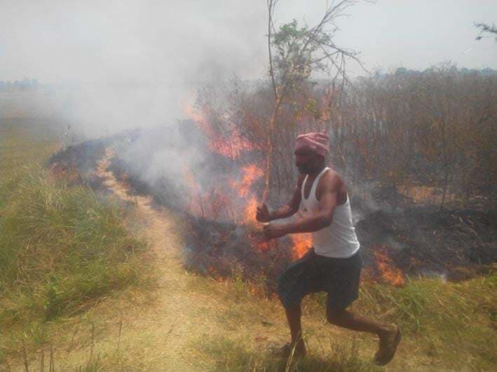 300 बीघे में लगी अरहर की फसल जल कर राख