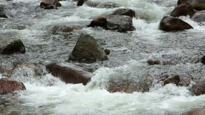 10 वर्ष में 2600 करोड रुपये खर्च करने के बावजूद नदियां प्रदूषित