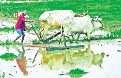 राष्ट्रीय कृषि विकास योजनाओं का लें लाभ