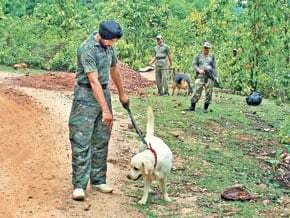 लोहरदगा में 125 लैंड माइंस बरामद