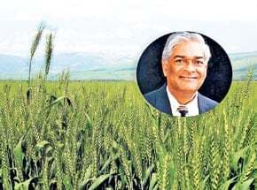 दुनियाभर में खाद्यान्न चुनौती