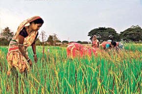 भारतीय मॉनसून की विशेषताएं