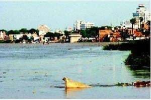 गंगा में डूबकर शाहरुख की मौत