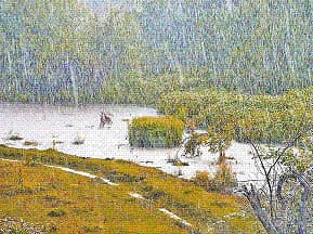 तुम बरसो या सावन बरसे..