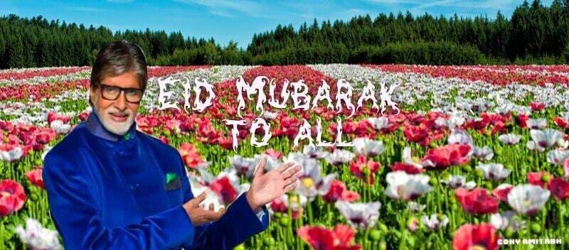 बिग बी ने अपने फैन्‍स को दी ईद की मुबारकबाद