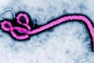 ''इबोला'' बीमारी ने दिया भारत में दस्‍तक,मुंबई से सटे वसई में मिला संदिग्‍ध मरीज