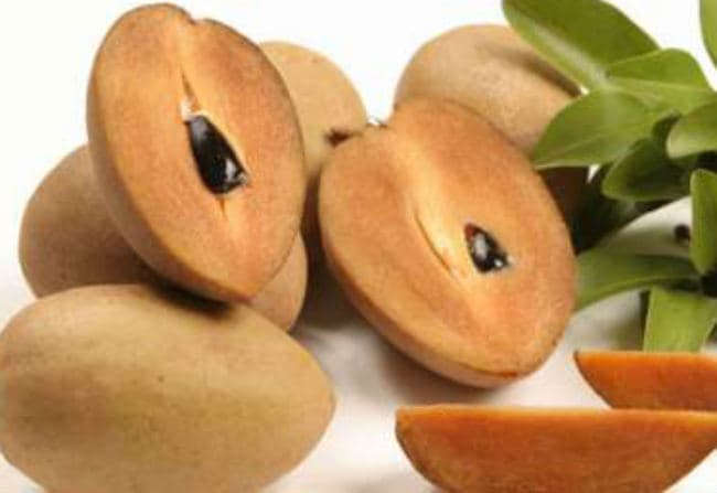 कैंसर से बचना है तो चीकू खाएं