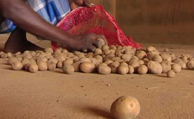 आलू नहीं बढाता मोटापा, इस नवरात्रि जमकर खाएं उबले आलू