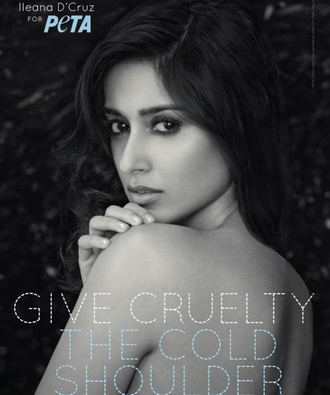 जानवरों की सुरक्षा के लिए टॉपलेस हो गई इलियाना