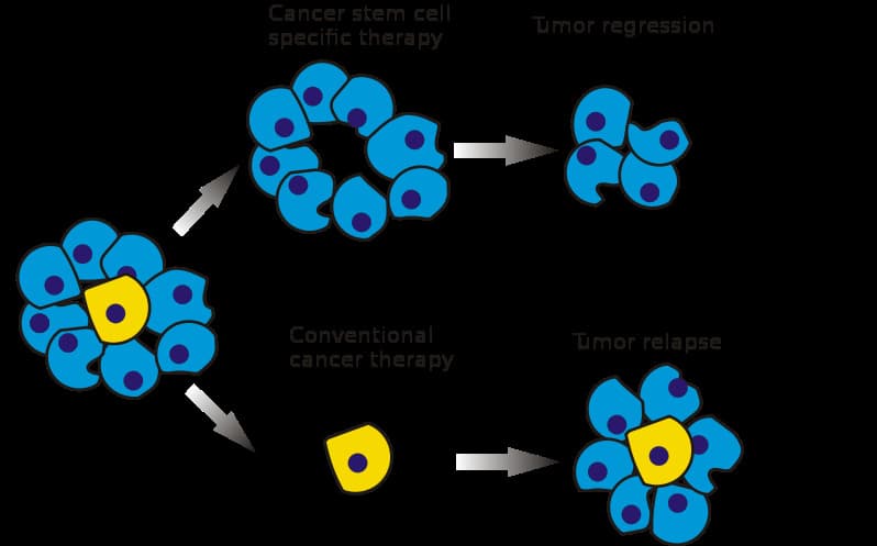 जानिए कैंसर का लम्बाई से क्या है संबंध