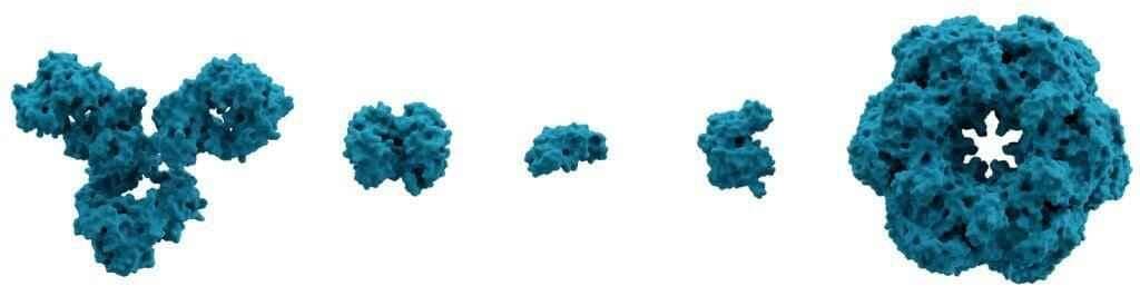 प्रोटीन बना सुरक्षा कवच