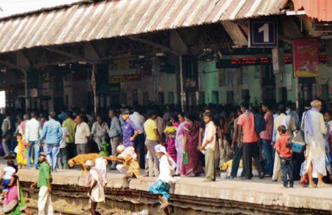 क्या कहें, भैंस और गोबर में बीत रही जिंदगी