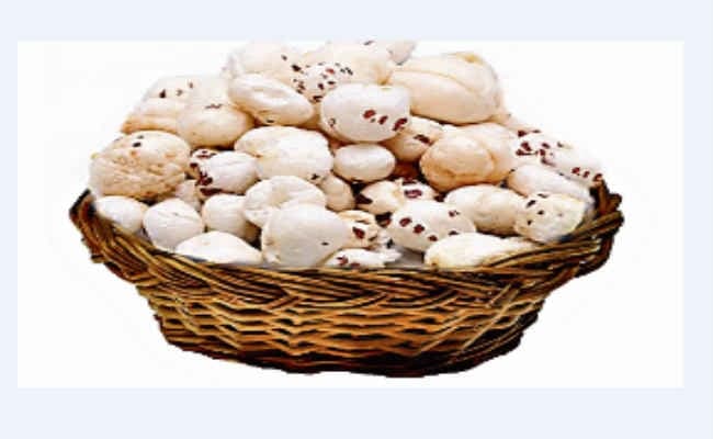 मिथिला के मखाने को मिला GI Tag, पांच साल में हजार पन्नों पर संग्रहित किये गये ऐतिहासिक दस्तावेज